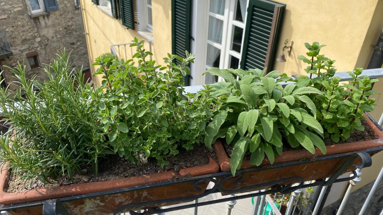 Il Mulino Di Hotel Villa Aurora Nesso Exterior photo
