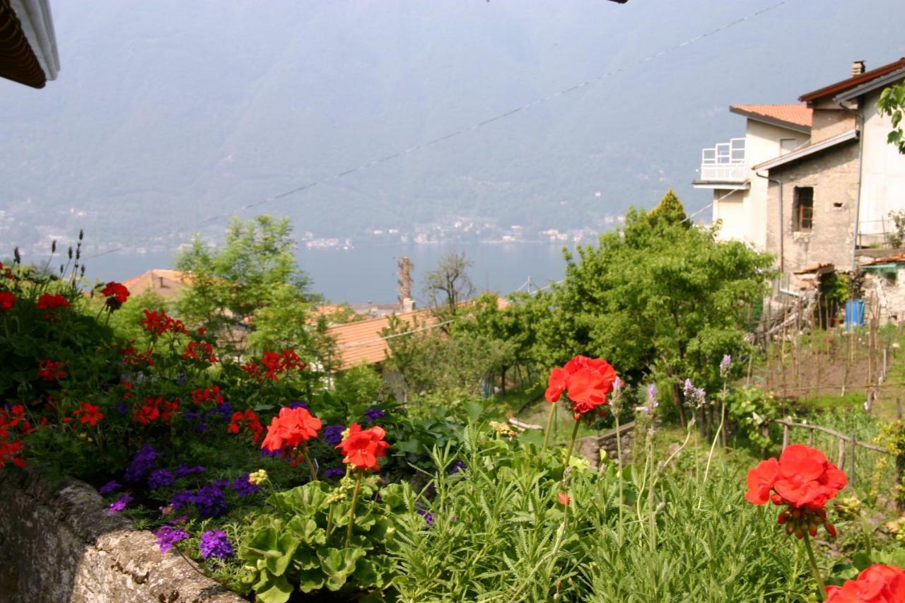 Il Mulino Di Hotel Villa Aurora Nesso Exterior photo